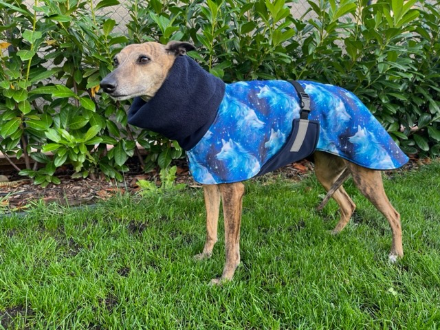 Náhled ProChrta.cz Bunda zimní softshell VLCI 35 cm