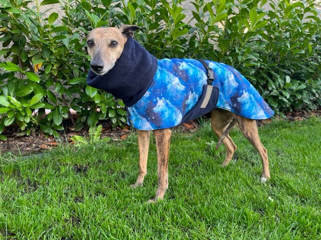 Náhled ProChrta.cz Bunda zimní softshell VLCI 60 cm