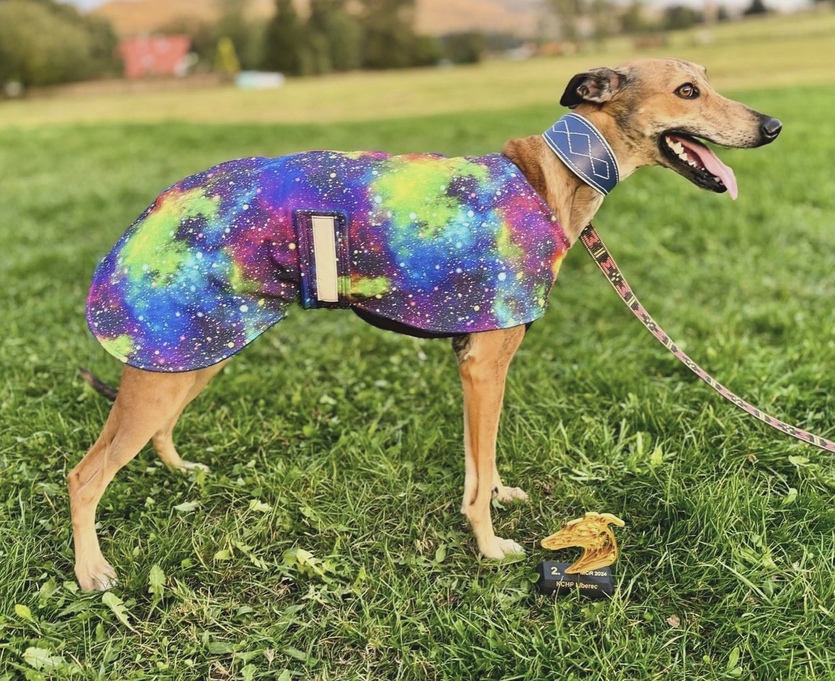 Náhled ProChrta.cz Softshellový kabátek UNIVERSE 55 cm