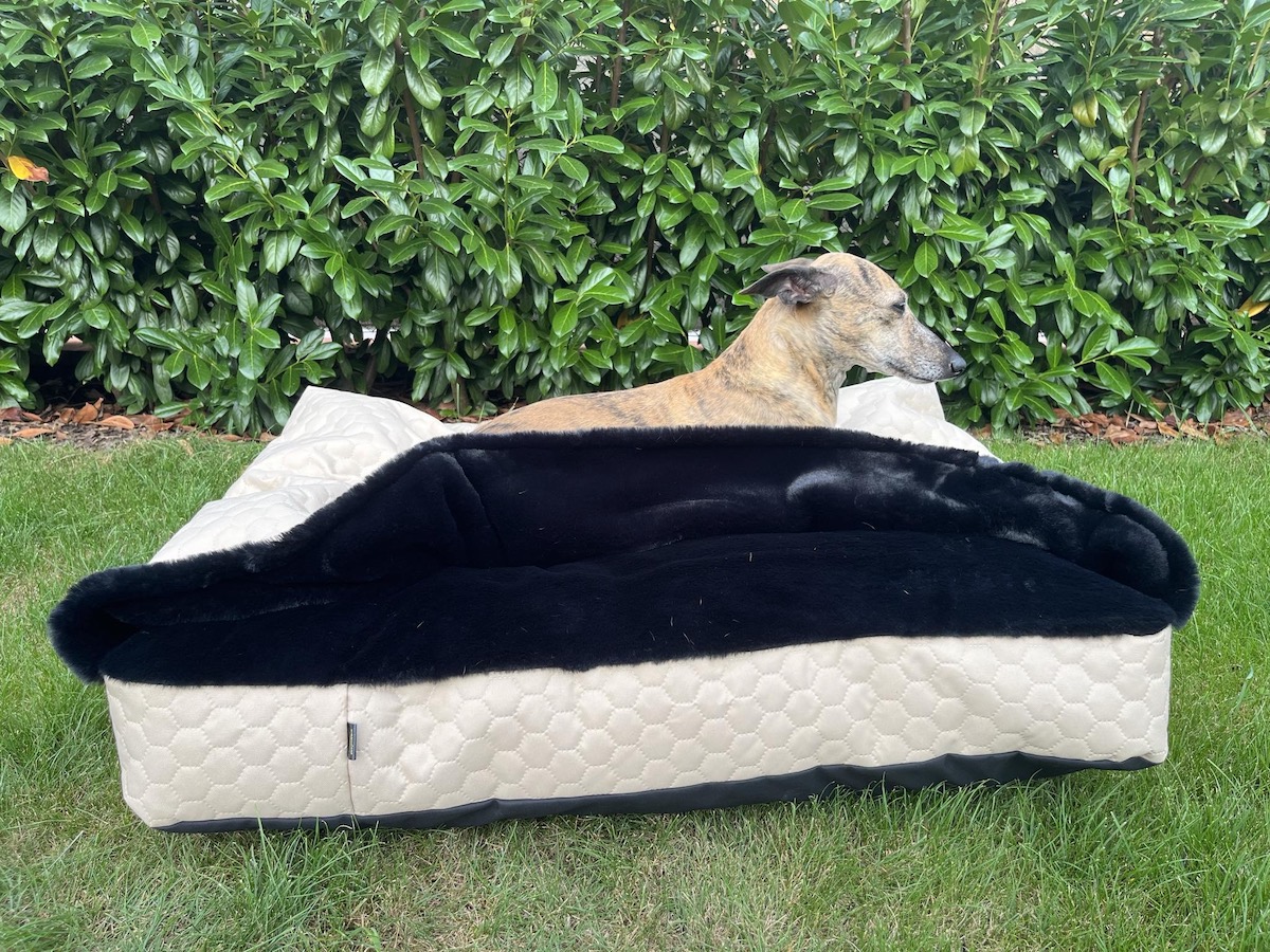 Náhled ProChrta.cz TEMPLE BEIGE BLACK