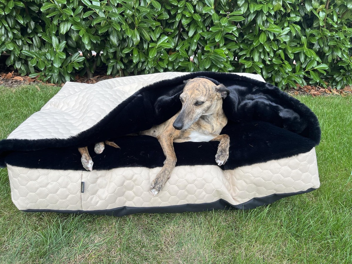 Náhled ProChrta.cz TEMPLE BEIGE BLACK