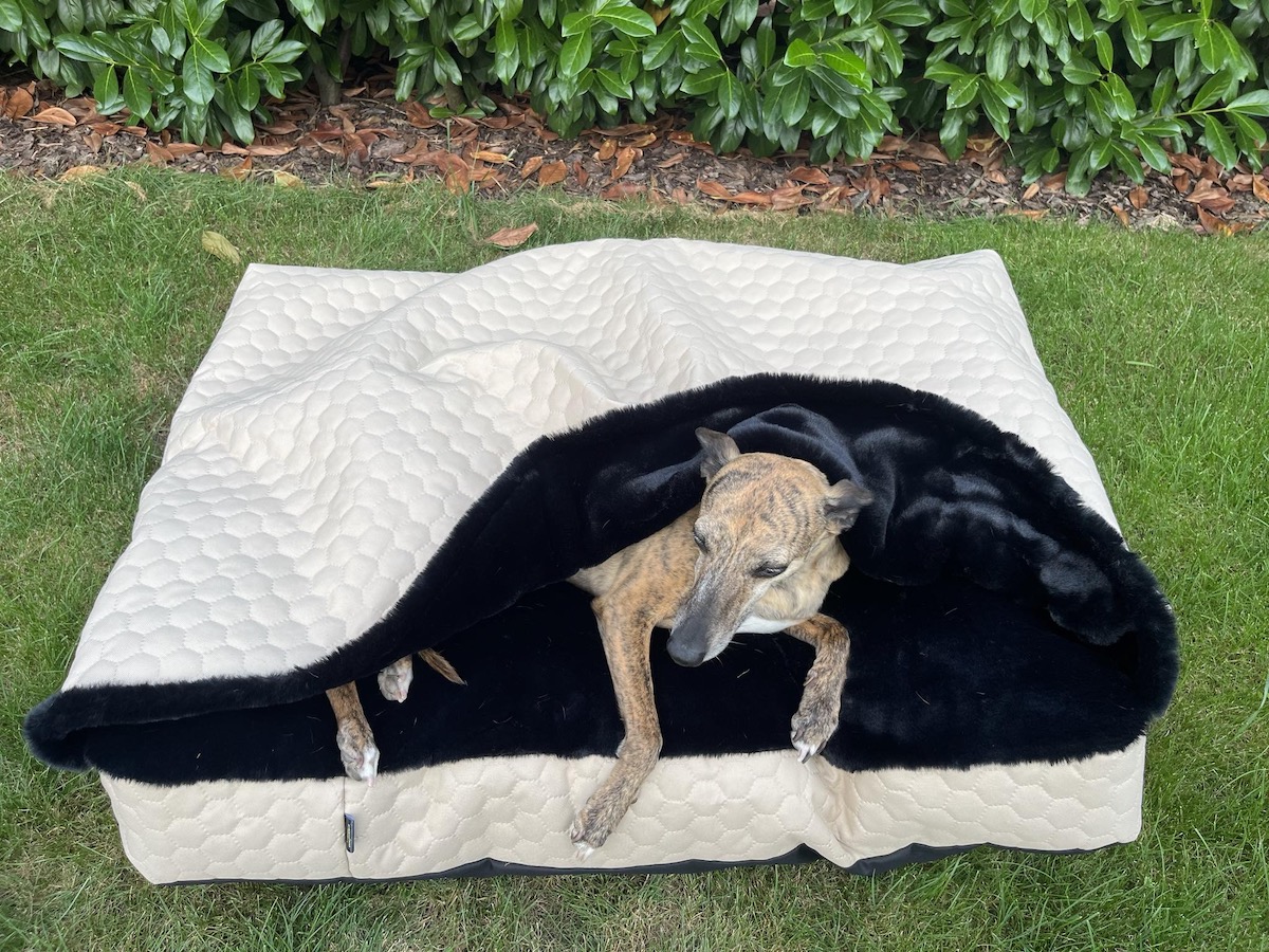 Náhled ProChrta.cz TEMPLE BEIGE BLACK