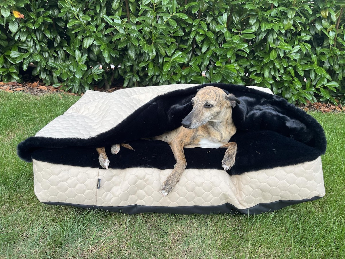 Náhled ProChrta.cz TEMPLE BEIGE BLACK