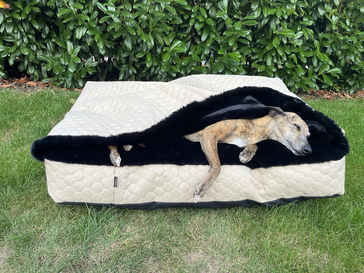 Náhled ProChrta.cz TEMPLE BEIGE BLACK