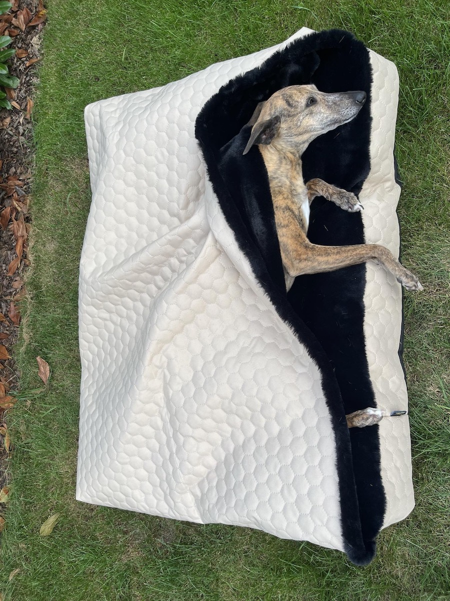 Náhled ProChrta.cz TEMPLE BEIGE BLACK