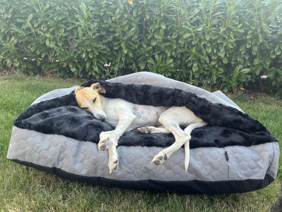 Náhled ProChrta.cz TEMPLE GREY BLACK