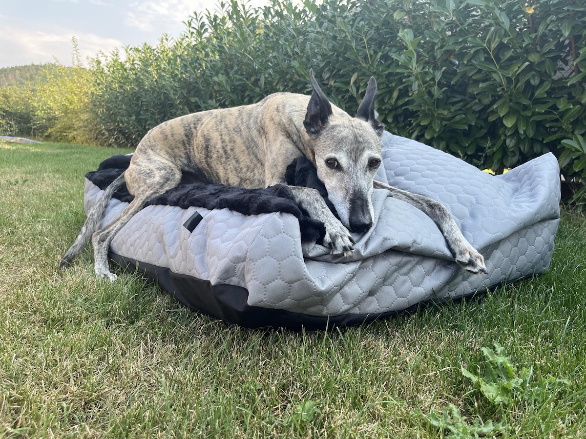 Náhled ProChrta.cz TEMPLE GREY BLACK
