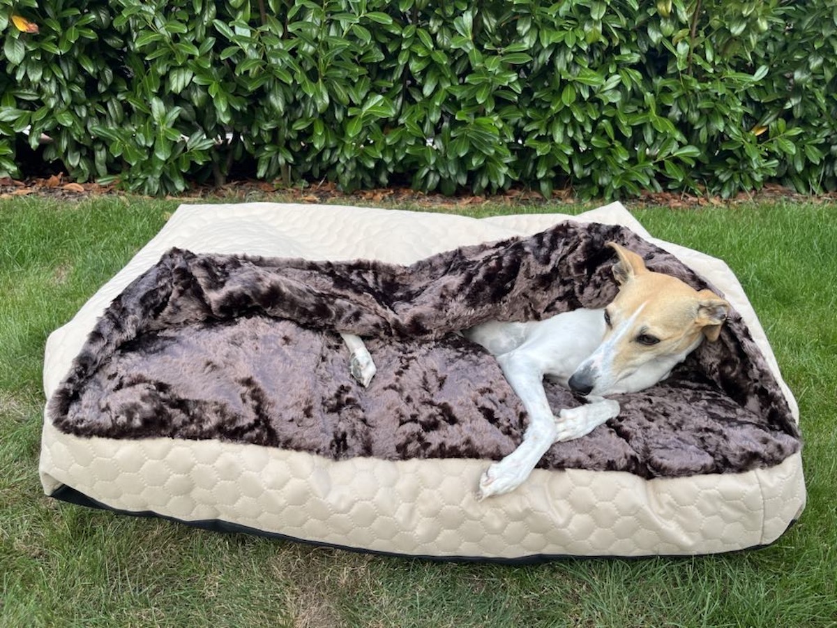 Náhled ProChrta.cz TEMPLE BEIGE BROWN