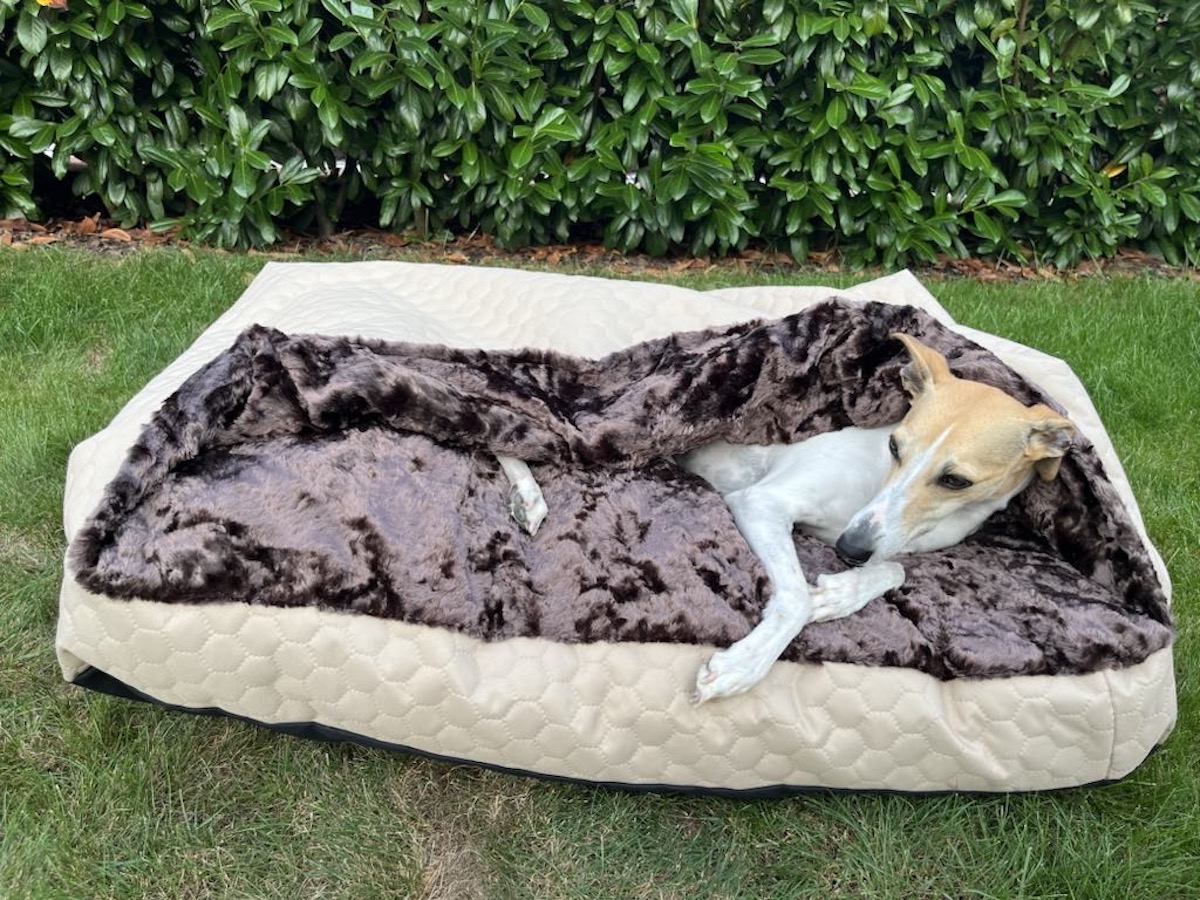 Náhled ProChrta.cz TEMPLE BEIGE BROWN