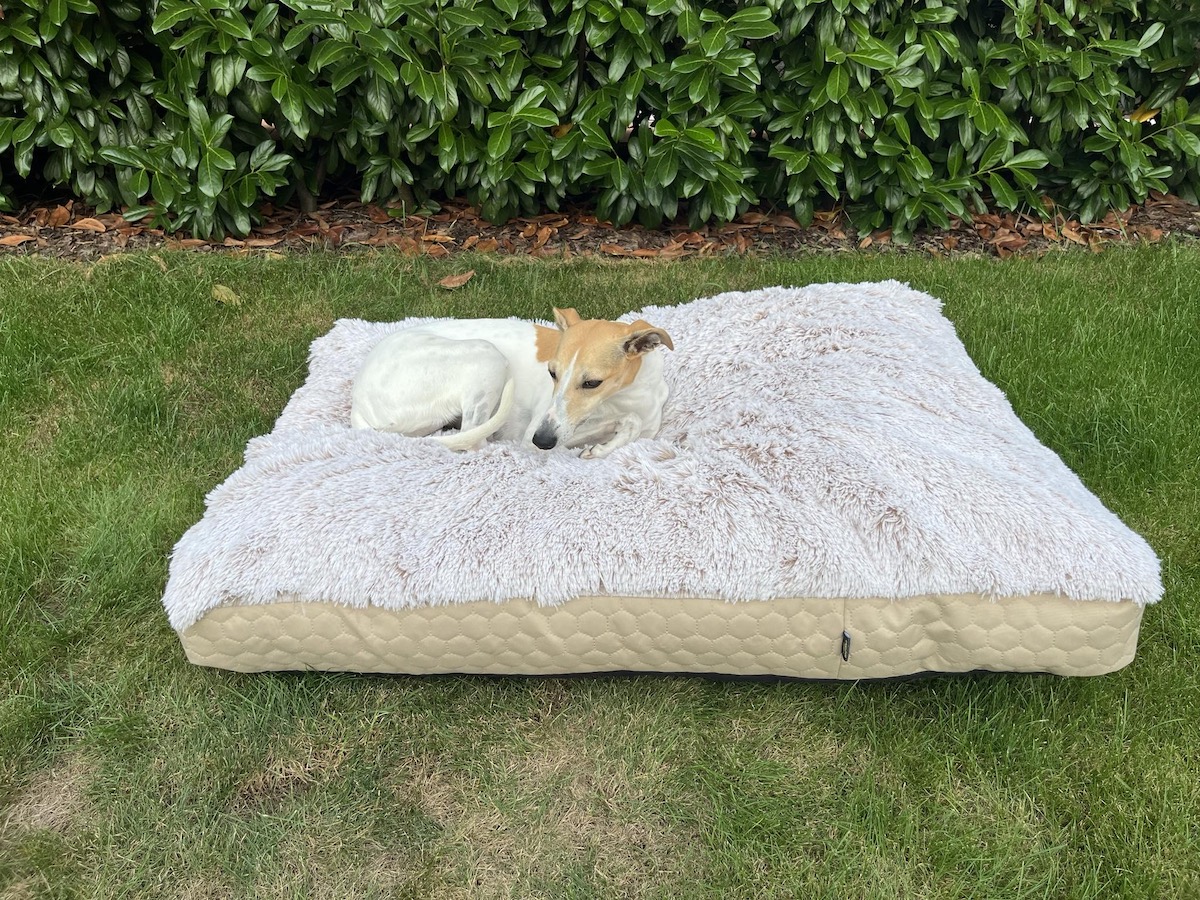 Náhled ProChrta.cz TEMPLE FLAT BEIGE