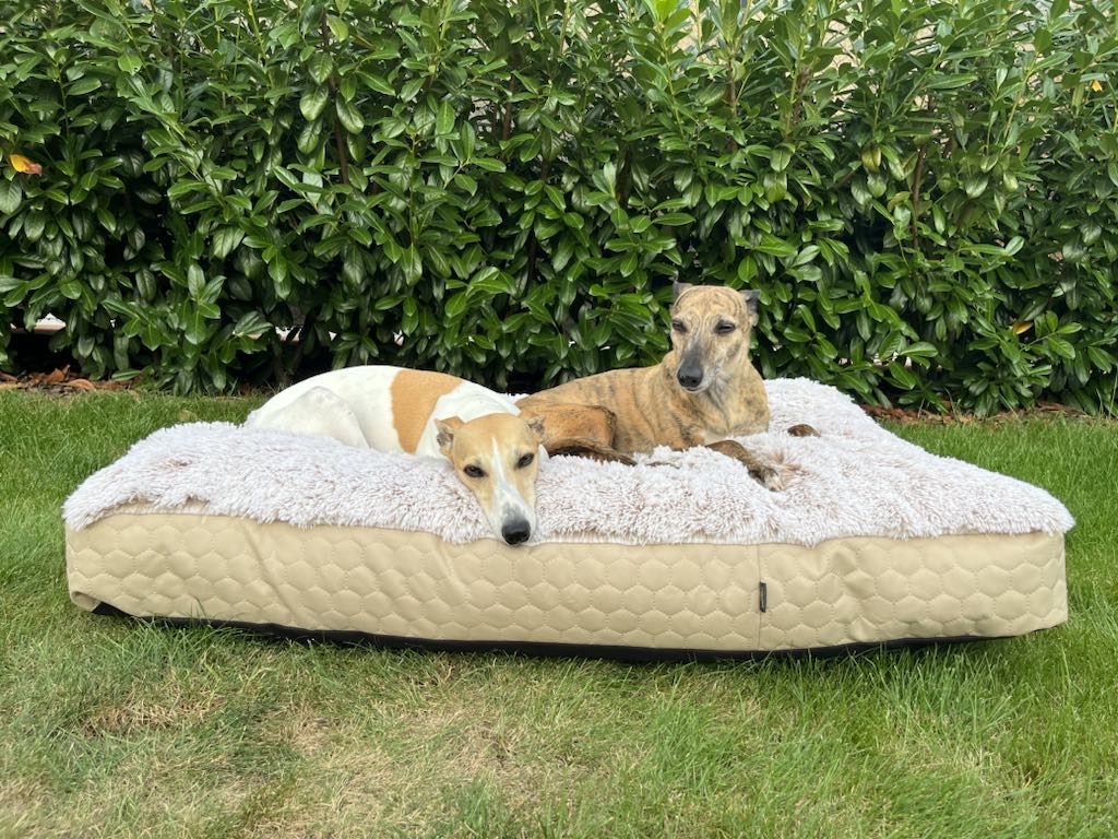 Náhled ProChrta.cz TEMPLE FLAT BEIGE