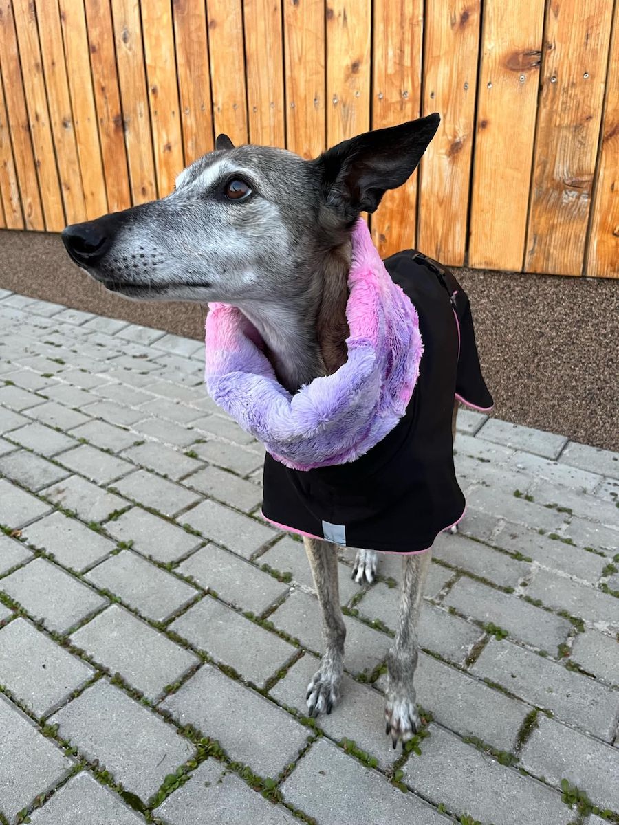 Náhled ProChrta.cz Bunda zimní softshell DORI 35 cm