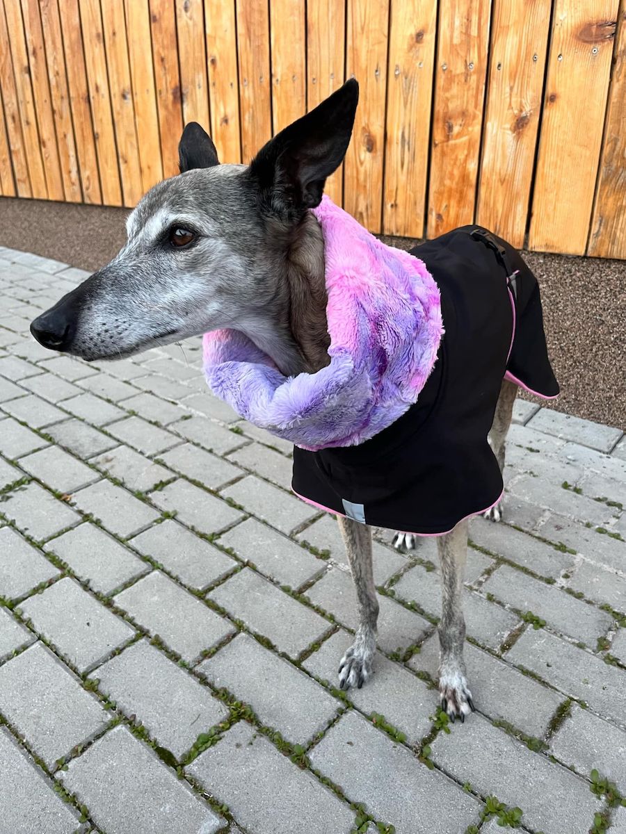 Náhled ProChrta.cz Bunda zimní softshell DORI 50 cm