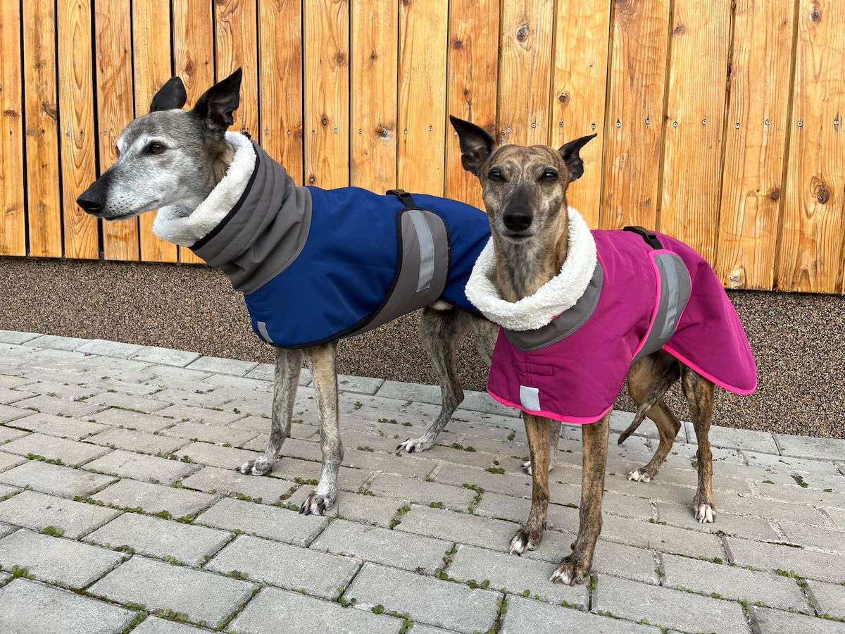 Náhled ProChrta.cz Bunda zimní softshell BLUE SHERPA 35 cm