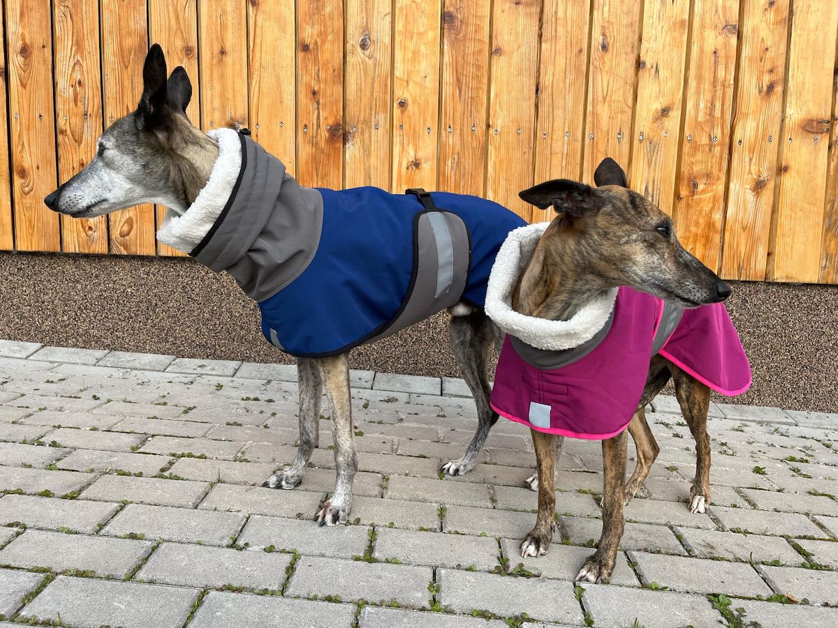 Náhled ProChrta.cz Bunda zimní softshell BLUE SHERPA 45 cm