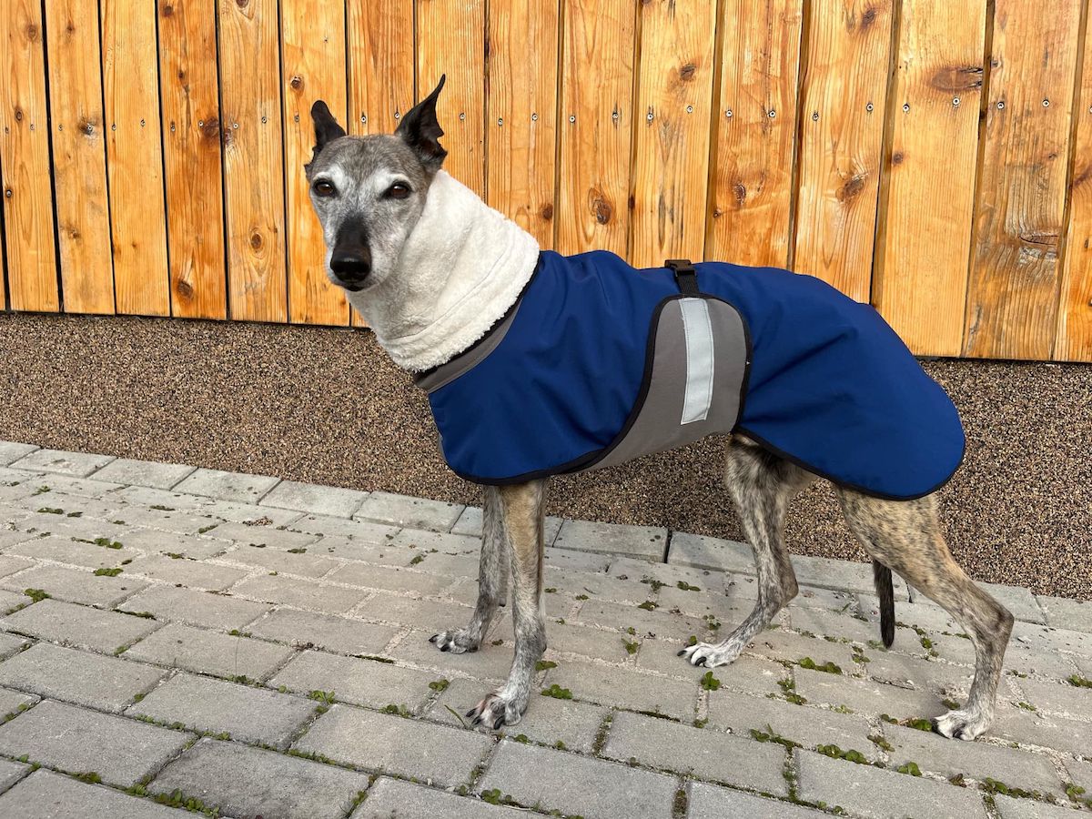 Náhled ProChrta.cz Bunda zimní softshell BLUE SHERPA 50 cm