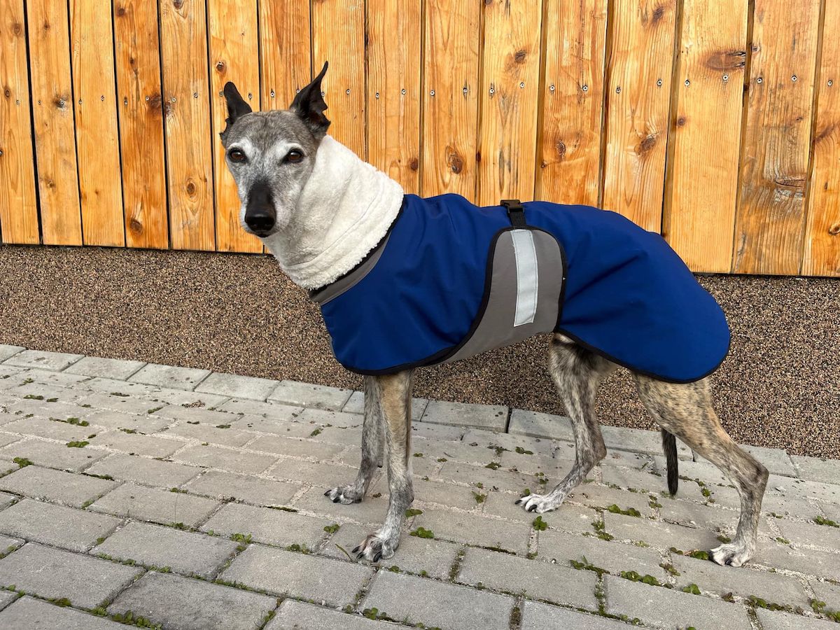 Náhled ProChrta.cz Bunda zimní softshell BLUE SHERPA 65 cm