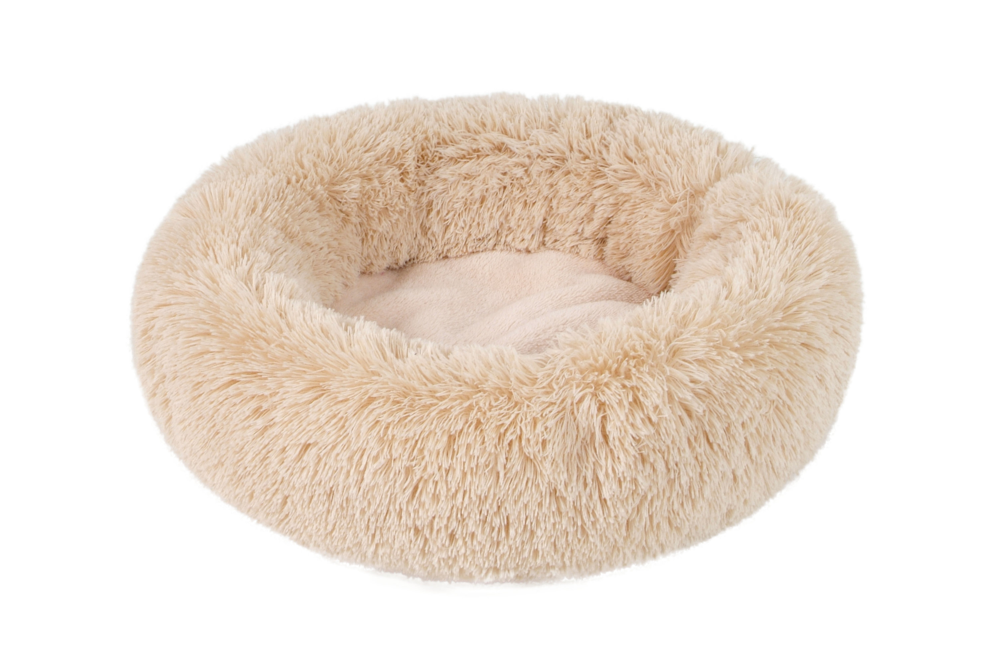 baby-fluffy-3550_(1)_(1)_(1)_(1)_(1)_(1)_(1)_(1).jpeg