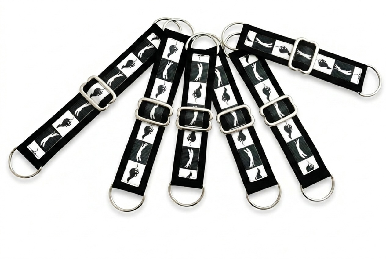 Náhled ProChrta.cz Coursing STARTER PACK