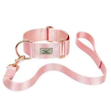 Nylonové vodítko ROSE