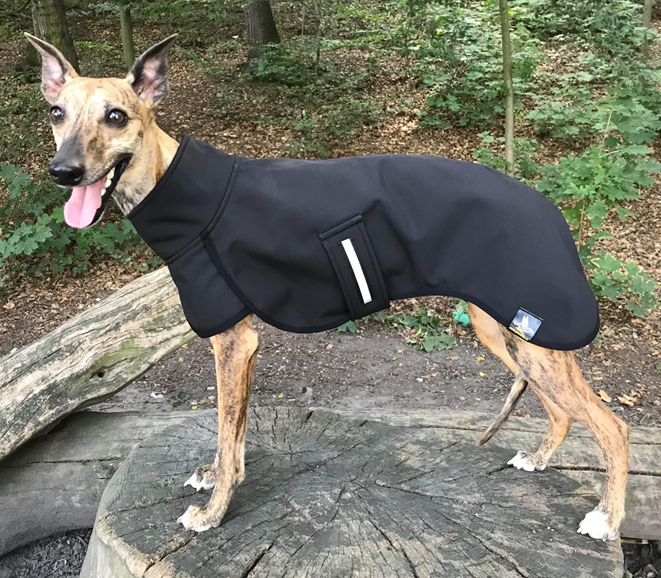 Náhled ProChrta.cz Softshellová bunda BLACK is BACK