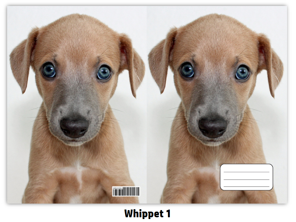 Náhled ProChrta.cz Sešit A5 20 listů linkovaný různá plemena chrtů