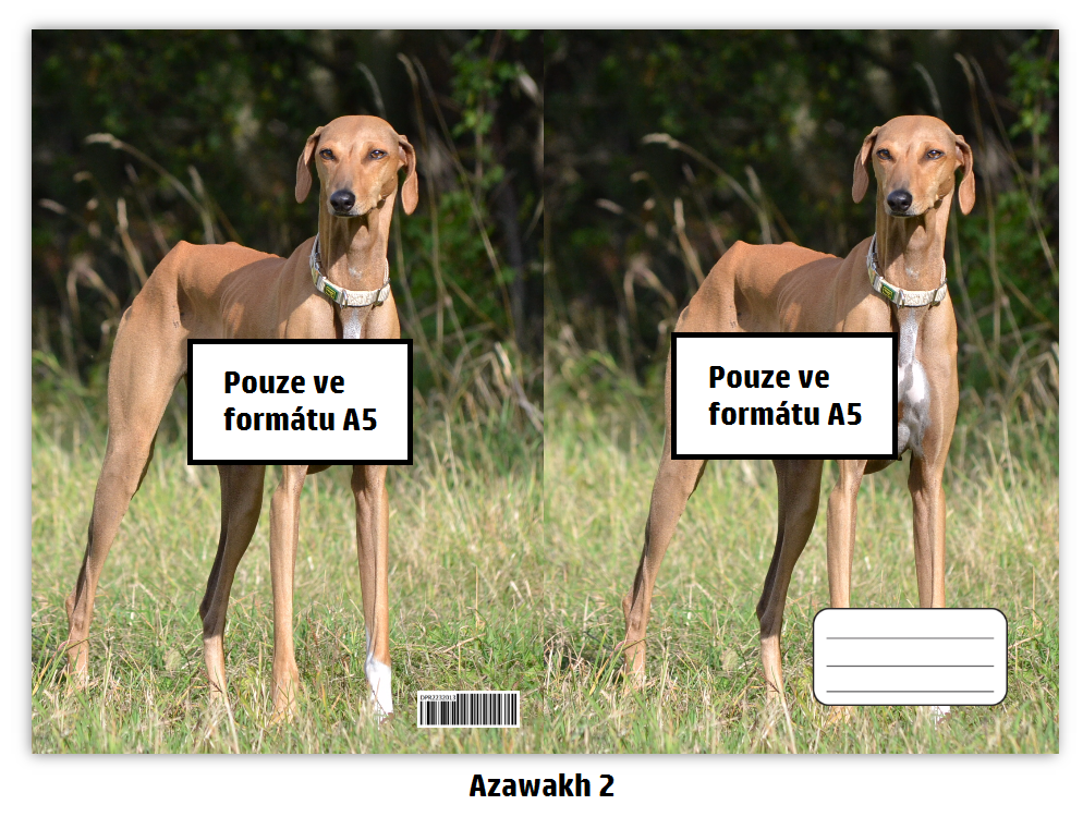 Náhled ProChrta.cz Sešit A5 20 listů linkovaný různá plemena chrtů