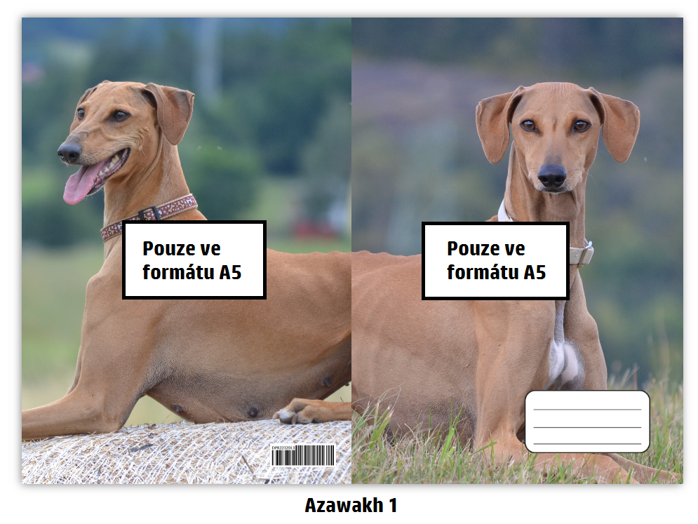 Náhled ProChrta.cz Sešit A5 20 listů linkovaný různá plemena chrtů