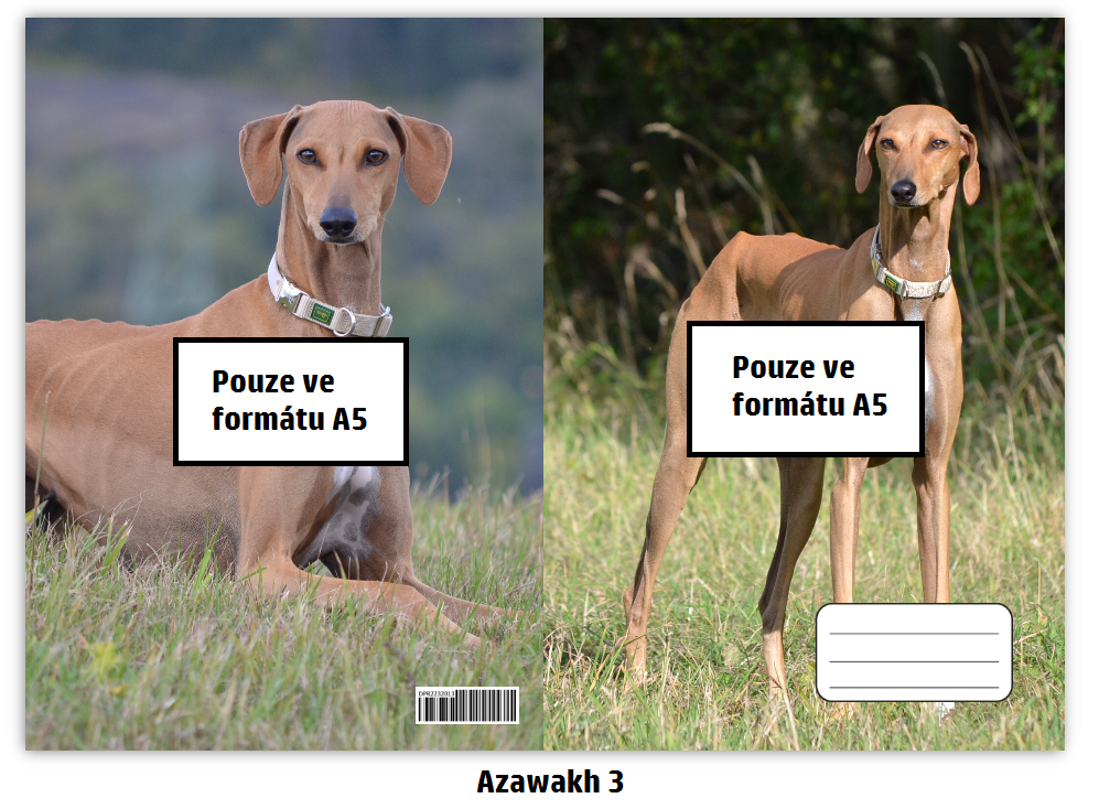 Náhled ProChrta.cz Sešit A5 20 listů linkovaný různá plemena chrtů