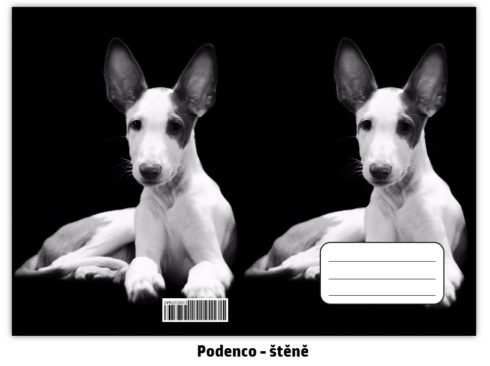 Náhled ProChrta.cz Sešit A5 20 listů linkovaný různá plemena chrtů