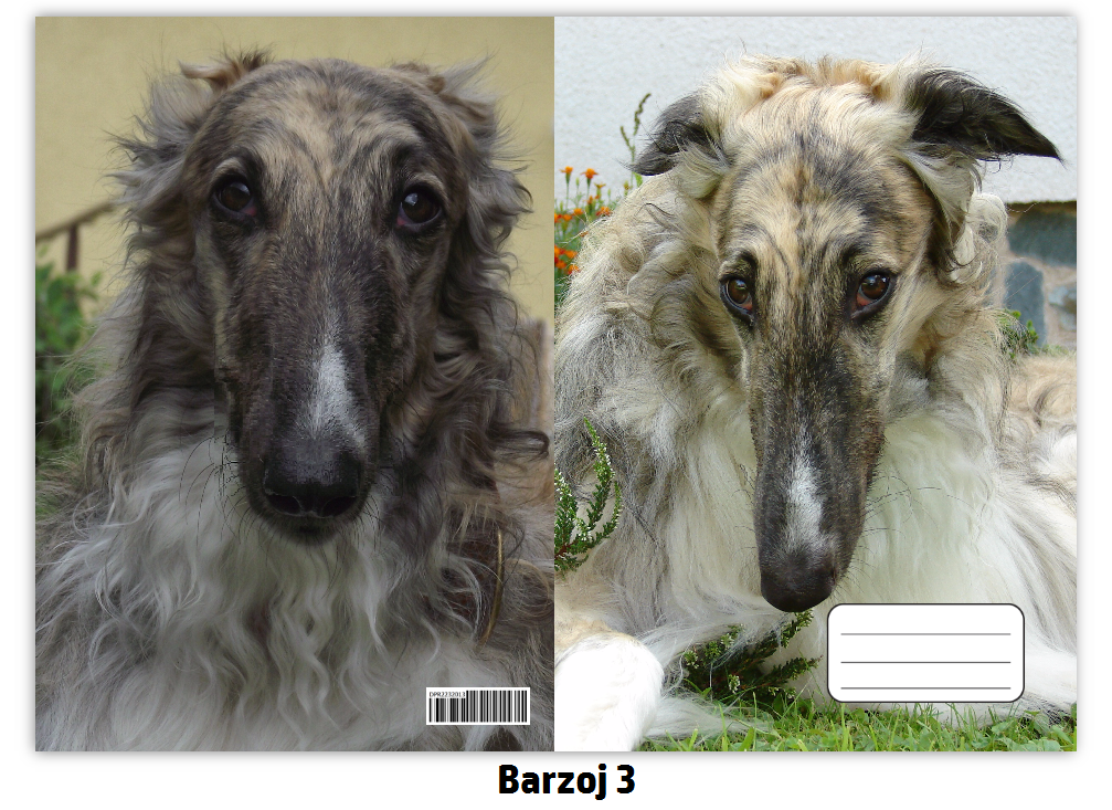 Náhled ProChrta.cz Sešit A5 40 listů linkovaný různá plemena chrtů