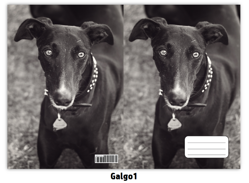 Náhled ProChrta.cz Sešit A5 40 listů linkovaný různá plemena chrtů