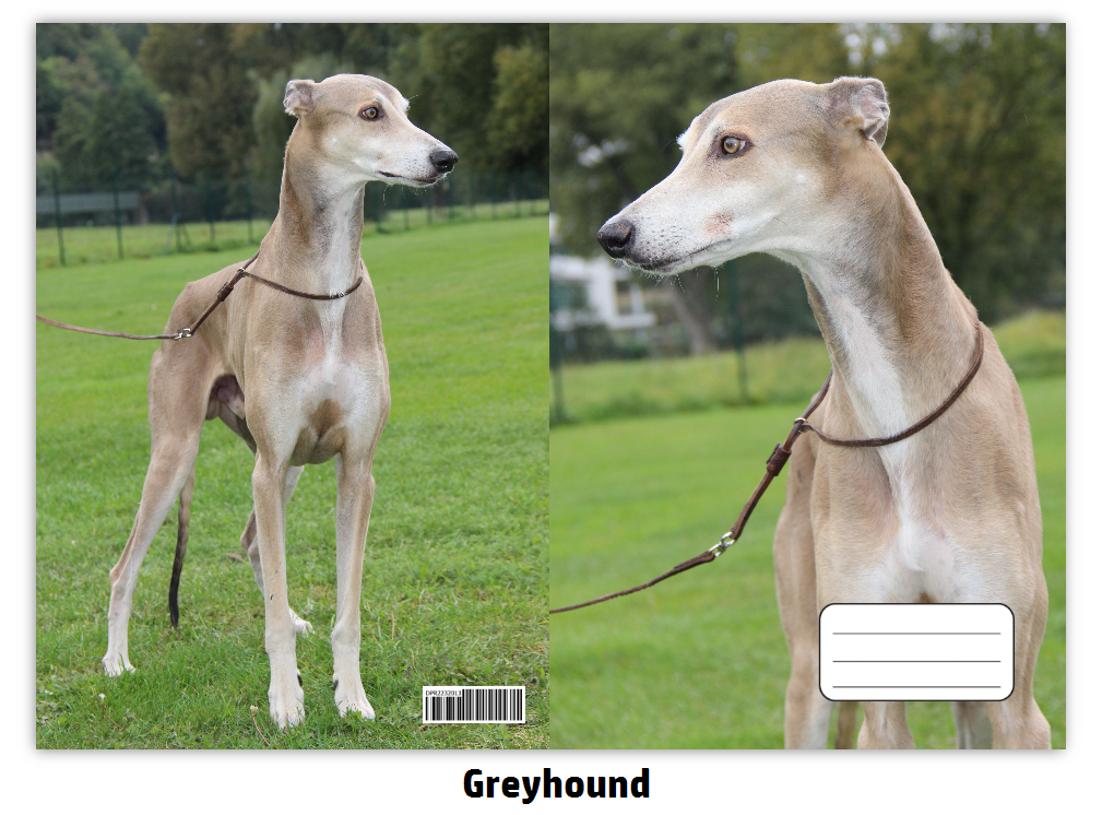 Náhled ProChrta.cz Sešit A5 40 listů linkovaný různá plemena chrtů