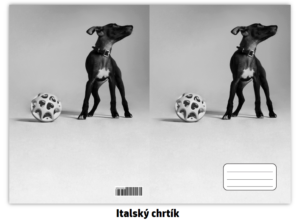 Náhled ProChrta.cz Sešit A5 40 listů linkovaný různá plemena chrtů