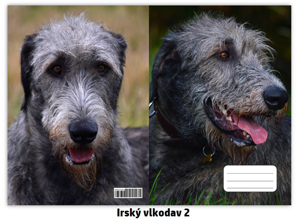 Náhled ProChrta.cz Sešit A5 40 listů linkovaný různá plemena chrtů