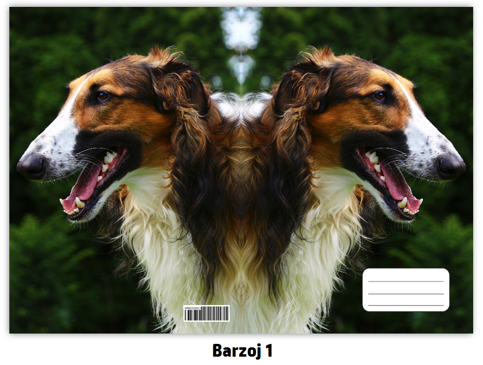 Náhled ProChrta.cz Sešit A5 40 listů linkovaný různá plemena chrtů