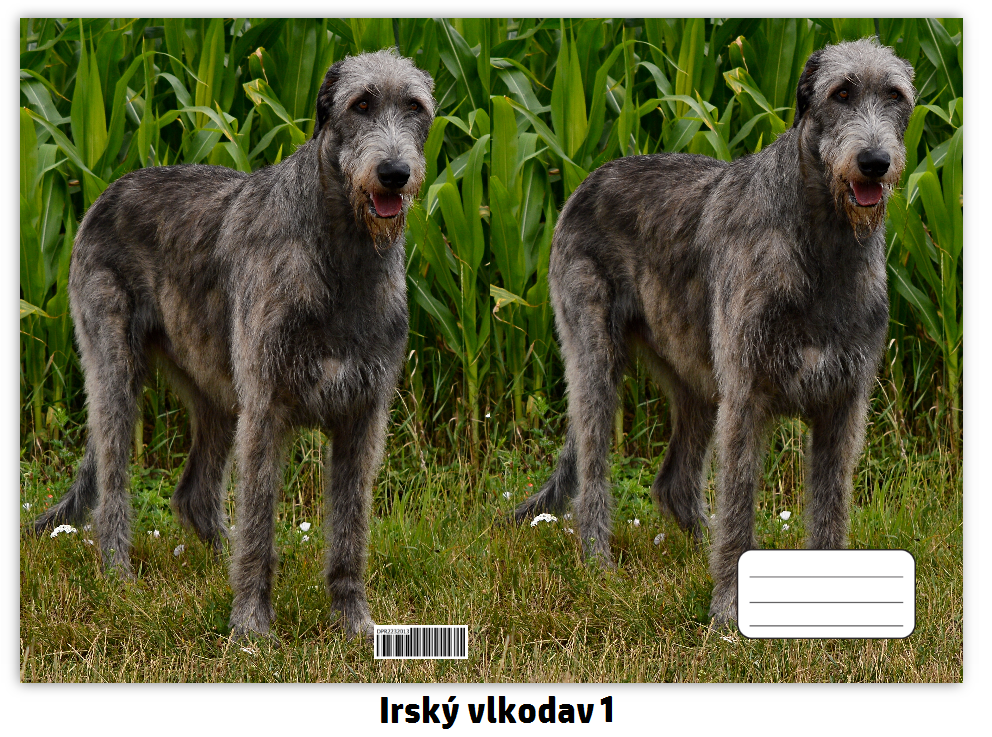 Náhled ProChrta.cz Sešit A4 40 listů linkovaný různá plemena chrtů