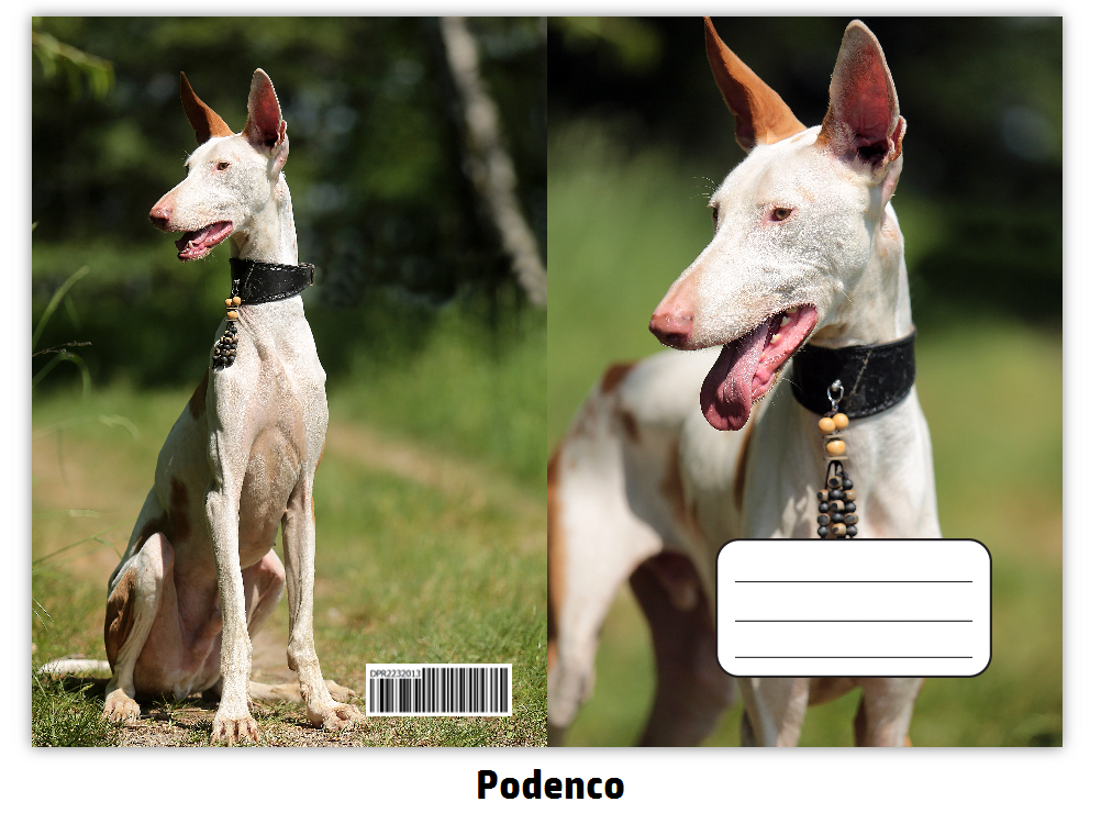 Náhled ProChrta.cz Sešit A4 40 listů linkovaný různá plemena chrtů