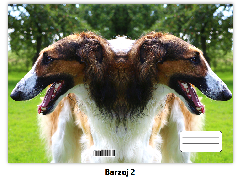 Náhled ProChrta.cz Sešit A4 40 listů linkovaný různá plemena chrtů