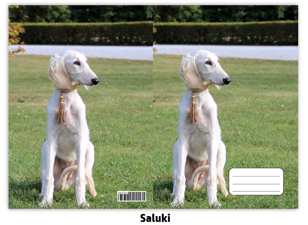 Náhled ProChrta.cz Sešit A4 40 listů linkovaný různá plemena chrtů