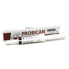 Probiotika Probican pasta 15g